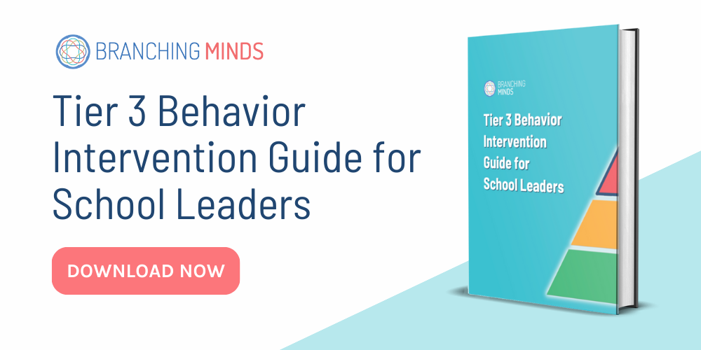 tier 3 behavior curriculum